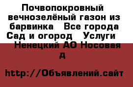 Почвопокровный, вечнозелёный газон из барвинка - Все города Сад и огород » Услуги   . Ненецкий АО,Носовая д.